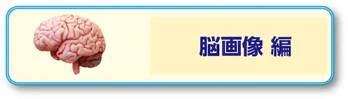 画像に alt 属性が指定されていません。ファイル名: opebth2.png