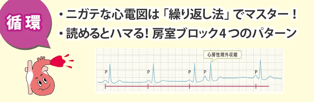 画像に alt 属性が指定されていません。ファイル名: studentsseminar2025-05.png